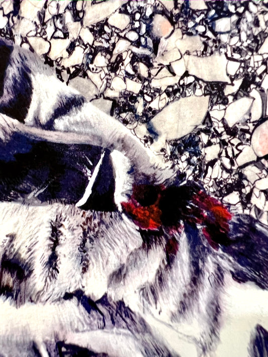 003 | The Terror, 2021