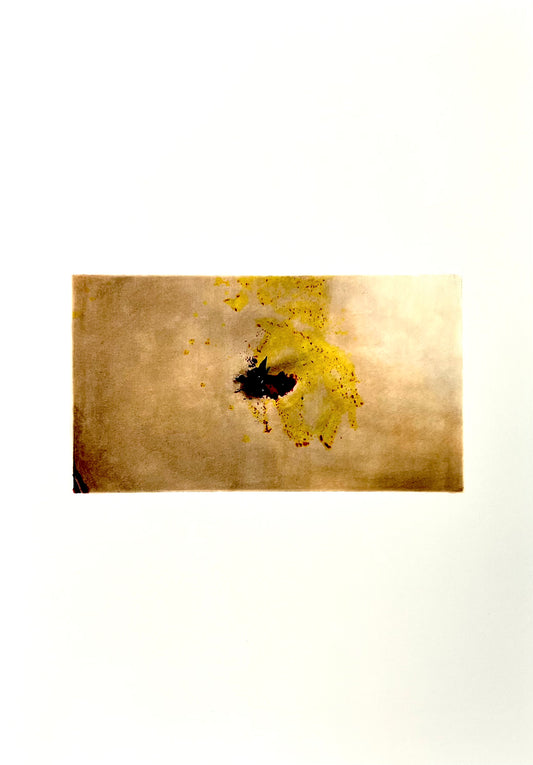 004 | Written & Directed by John Waters, 2021