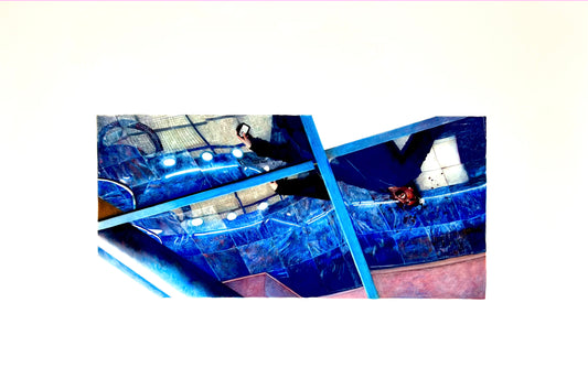 022 | Let's fucking bet on this, let's bet on this shit, 2021